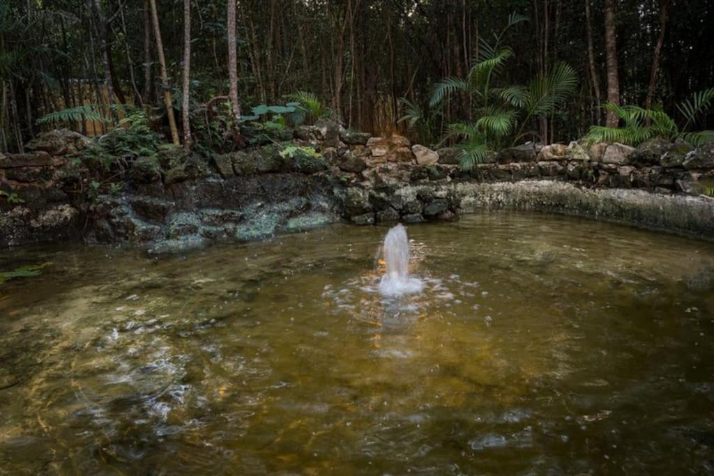 Hermosa Villa Con Espacios De Naturaleza Y Yoga Puerto Morelos Exterior foto