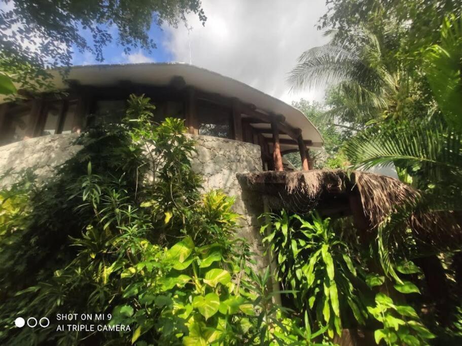 Hermosa Villa Con Espacios De Naturaleza Y Yoga Puerto Morelos Exterior foto