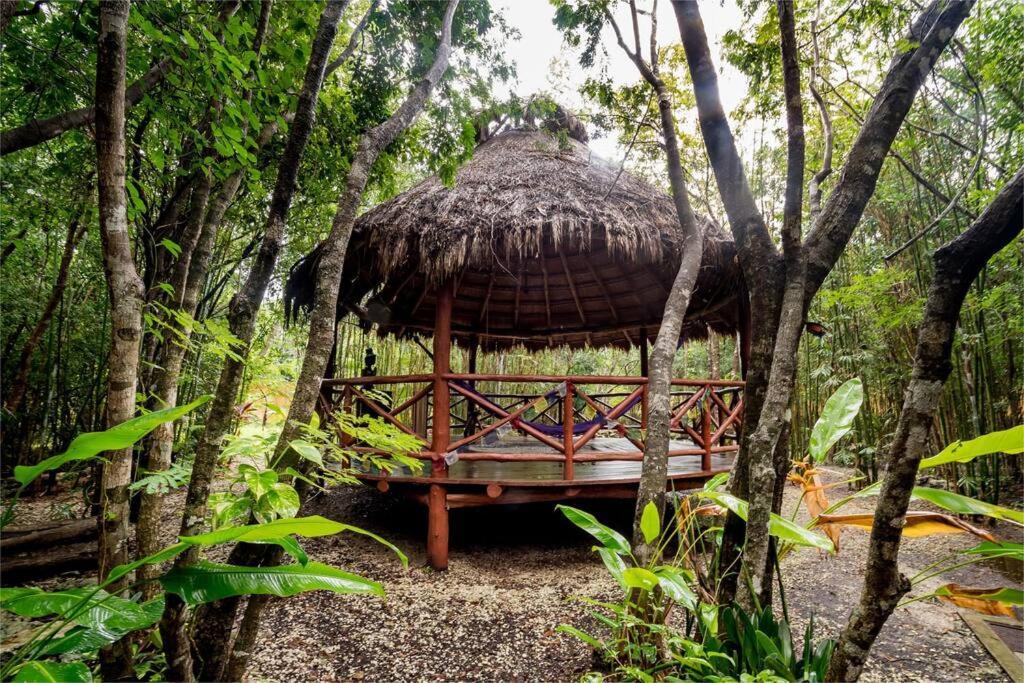 Hermosa Villa Con Espacios De Naturaleza Y Yoga Puerto Morelos Exterior foto