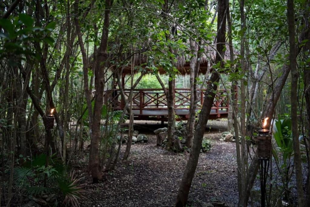 Hermosa Villa Con Espacios De Naturaleza Y Yoga Puerto Morelos Exterior foto