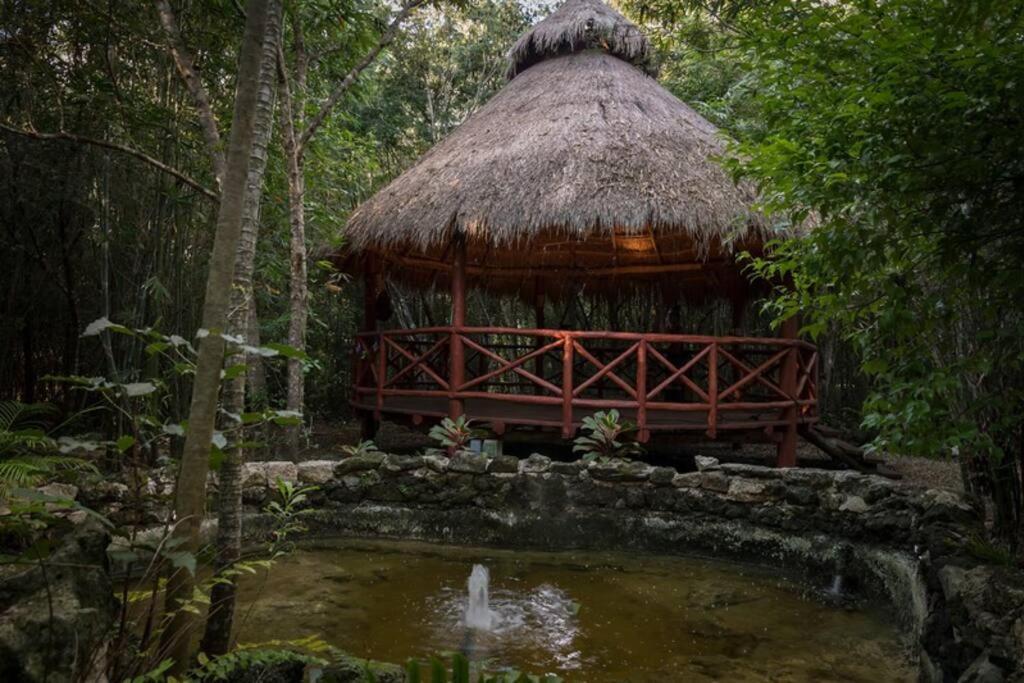 Hermosa Villa Con Espacios De Naturaleza Y Yoga Puerto Morelos Exterior foto