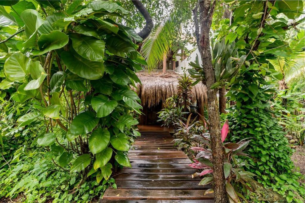 Hermosa Villa Con Espacios De Naturaleza Y Yoga Puerto Morelos Exterior foto